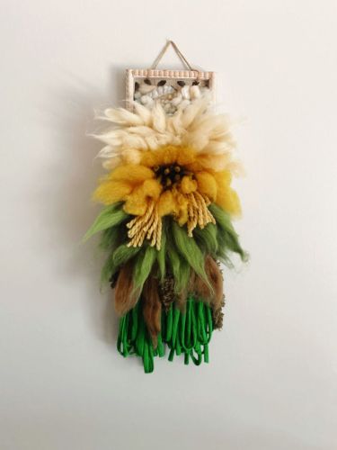 Sunflower Air Plant (Air Plant Collection)