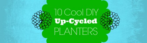 10 Cool DIY Up-cycled Planters