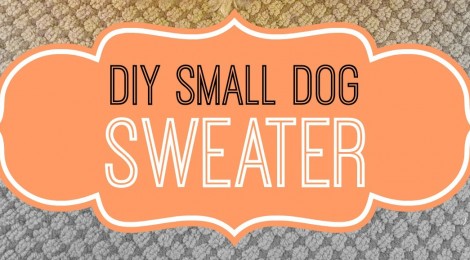 DIY Small Dog Sweater