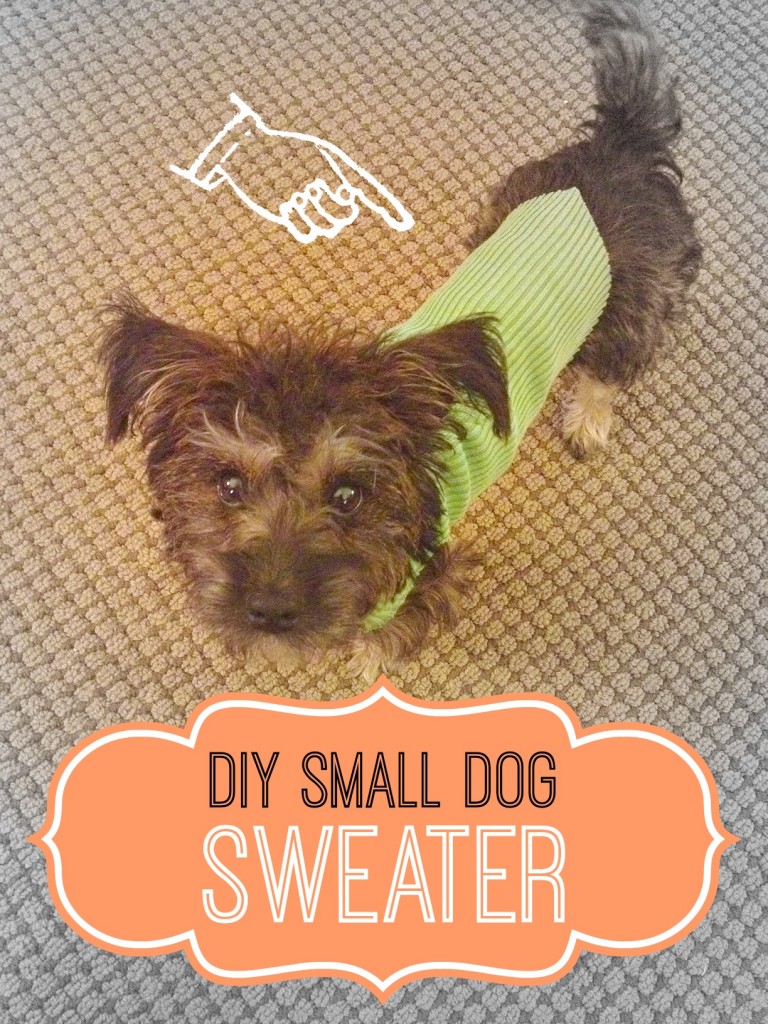 dog sweater cover