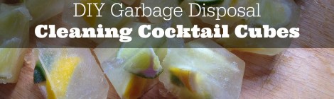 DIY Garbage Disposal Cleaning Cocktail Cubes