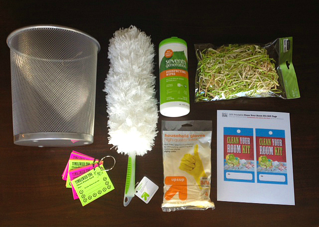 Tumbleweed Tina Clean Your Room Kit 1