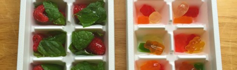 DIY Fancy Flavored Ice Cubes for Adults & Kids!