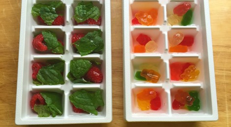 DIY Fancy Flavored Ice Cubes for Adults & Kids!