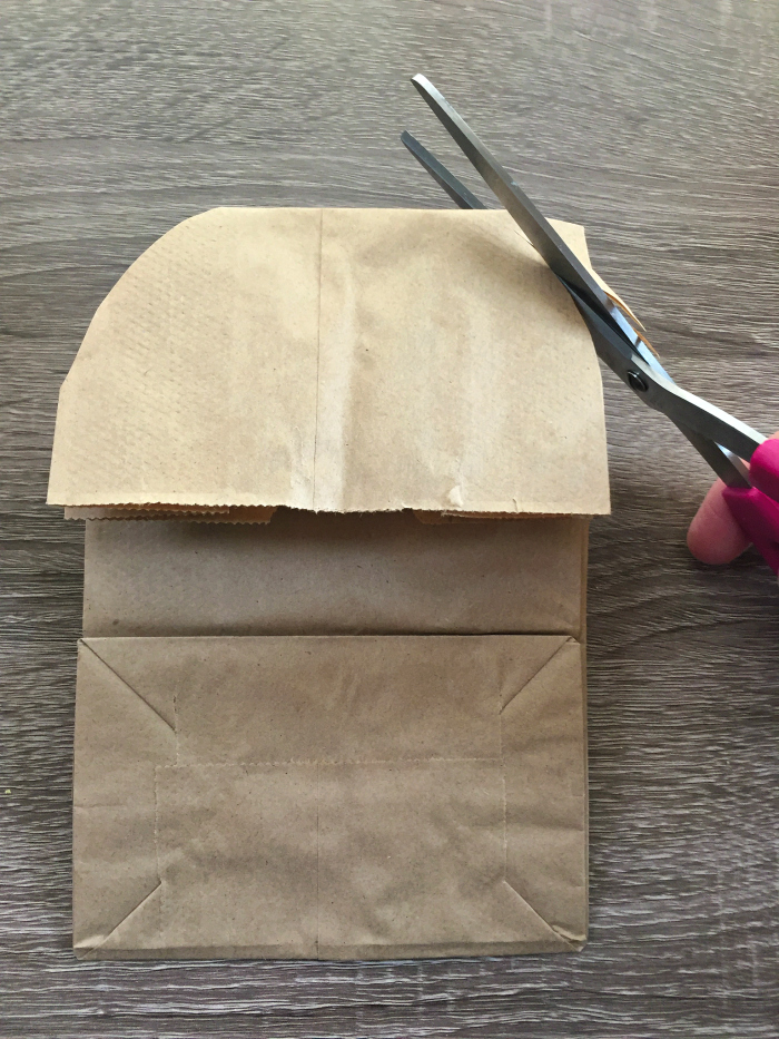 DIY chewbacca gift bag 3
