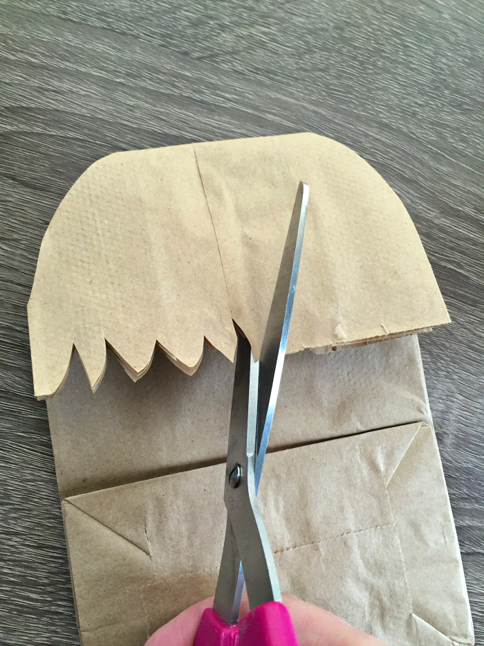 DIY chewbacca gift bag 4