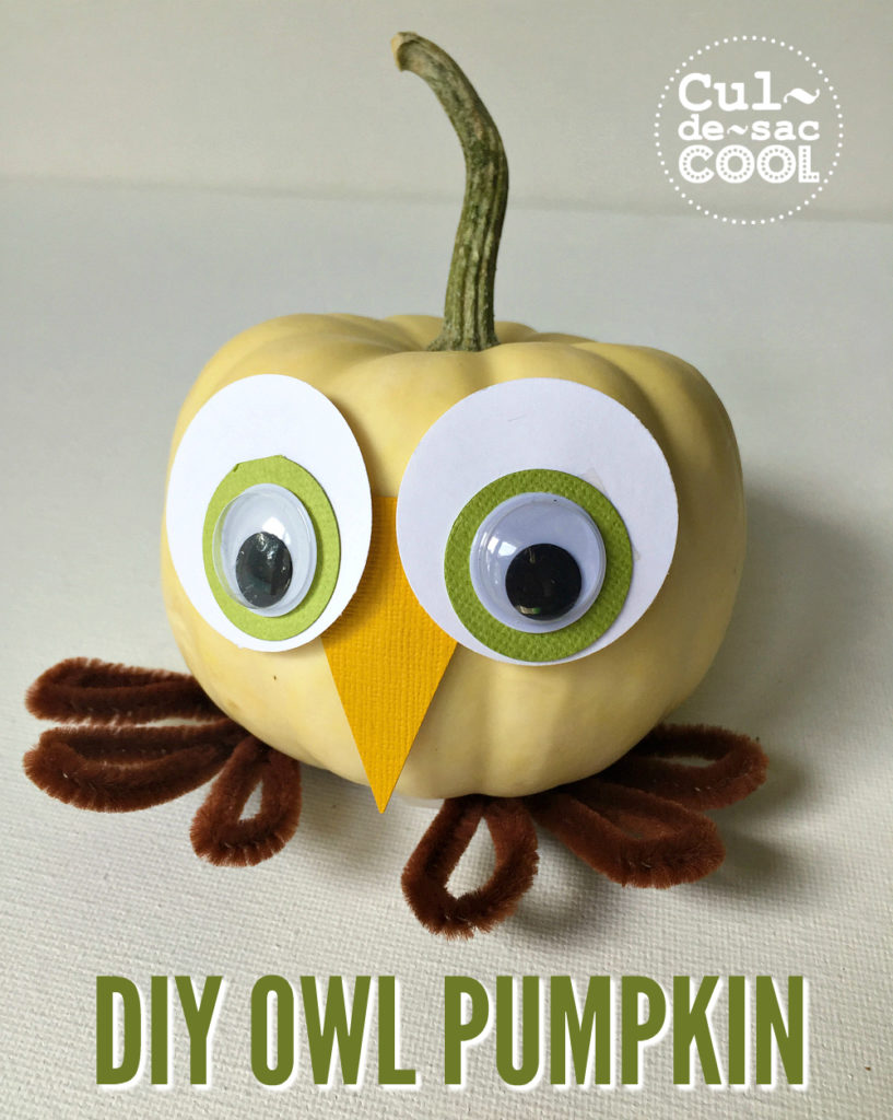 owl-pumpkin-14-cover-2