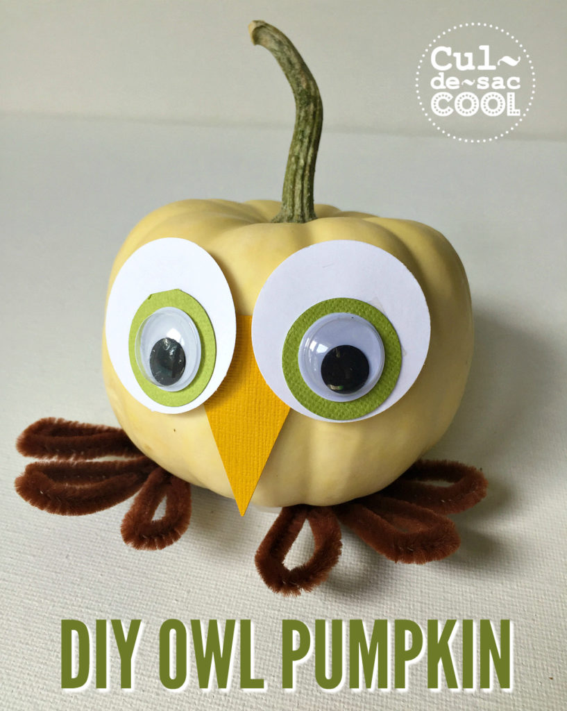 DIY Owl Pumpkin Thanksgiving Craft - Owldorable!!