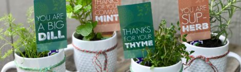 DIY Potted Herb Gift - Perfect for Mother's Day or Teacher Appreciation