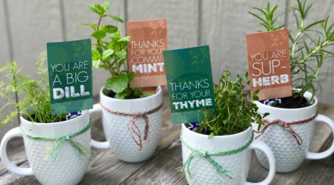 DIY Potted Herb Gift - Perfect for Mother's Day or Teacher Appreciation