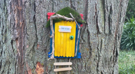 The Fairy Door Hunt